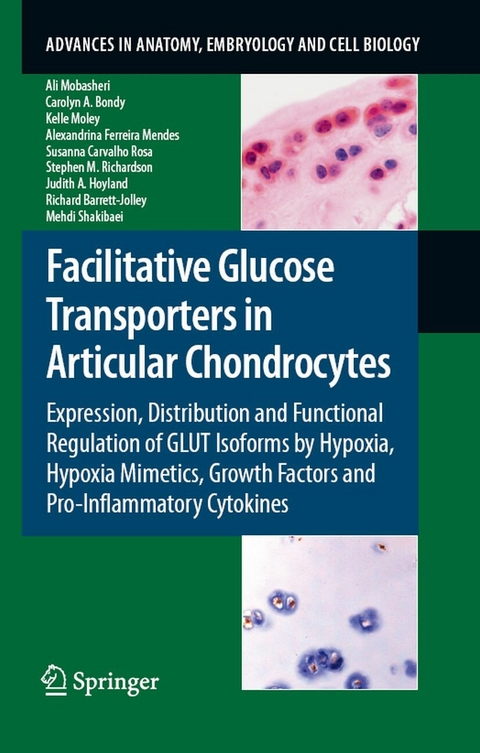 Facilitative Glucose Transporters in Articular Chondrocytes - Ali Mobasheri, Carolyn A. Bondy, Kelle Moley, Alexandrina Ferreira Mendes, Susana Carvalho Rosa, Stephen Richardson, Judith A Hoyland, Richard Barrett-Jolley, Mehdi Shakibaei