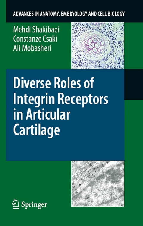 Diverse Roles of Integrin Receptors in Articular Cartilage - Mehdi Shakibaei, Constanze Csaki, Ali Mobasheri