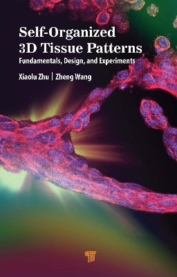 Self-Organized 3D Tissue Patterns - Xiaolu Zhu, Zheng Wang