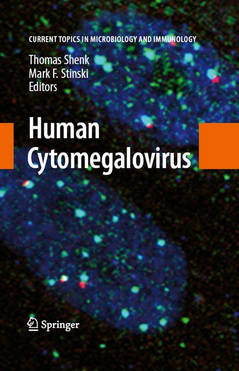 Human Cytomegalovirus - 