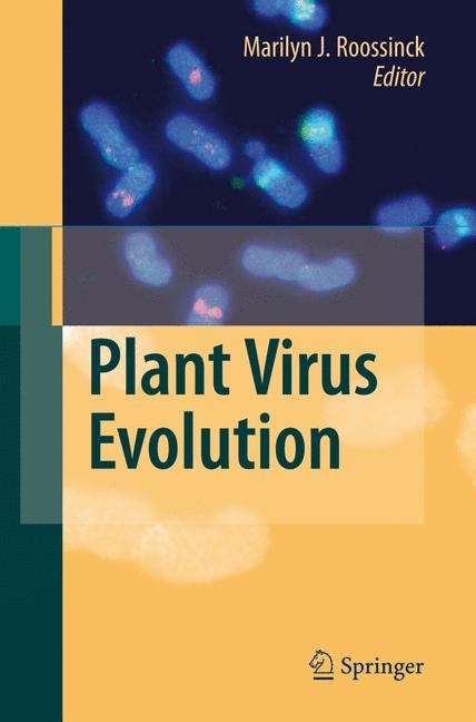 Plant Virus Evolution - 