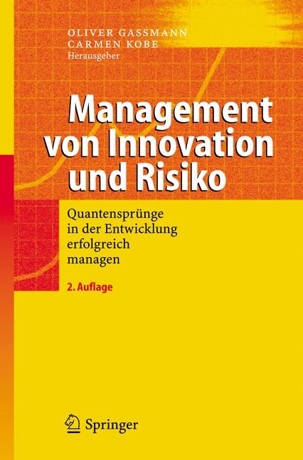 Management von Innovation und Risiko - 