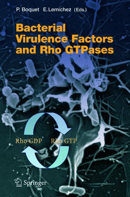 Bacterial Virulence Factors and Rho GTPases - 