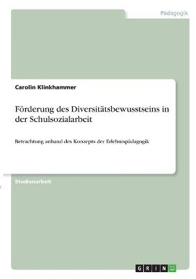 FÃ¶rderung des DiversitÃ¤tsbewusstseins in der Schulsozialarbeit - Carolin Klinkhammer