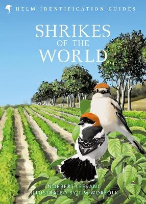 Shrikes of the World - Norbert Lefranc