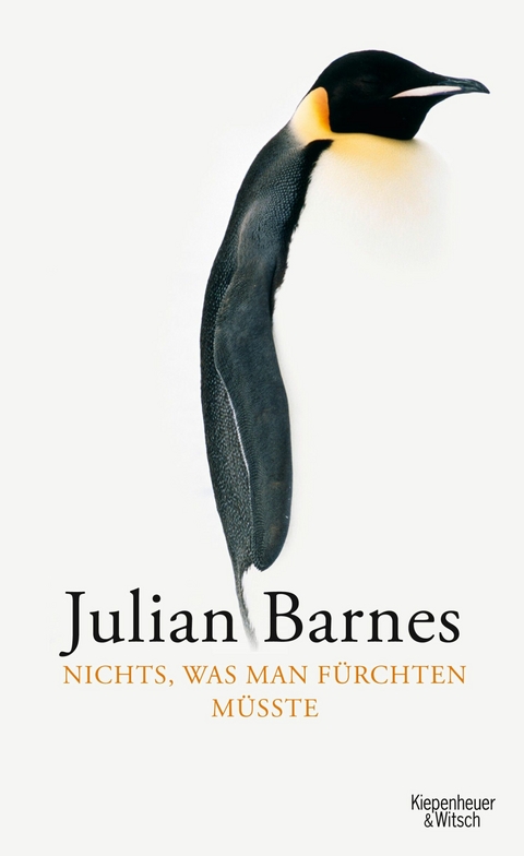 Nichts, was man fürchten müsste -  Julian Barnes