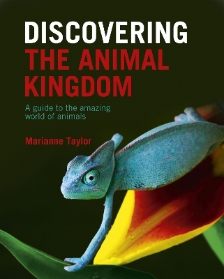 Discovering The Animal Kingdom - Marianne Taylor