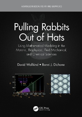 Pulling Rabbits Out of Hats - David Wollkind, Bonni J. Dichone