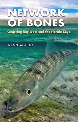 Network of Bones - Sean Morey