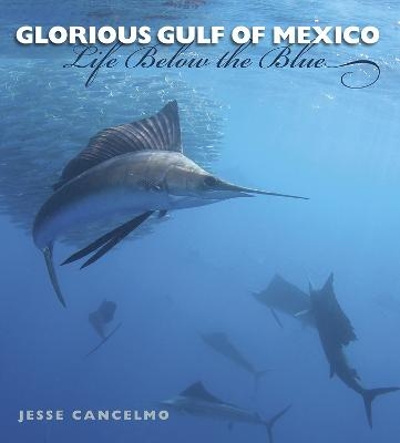Glorious Gulf of Mexico - Jesse Cancelmo