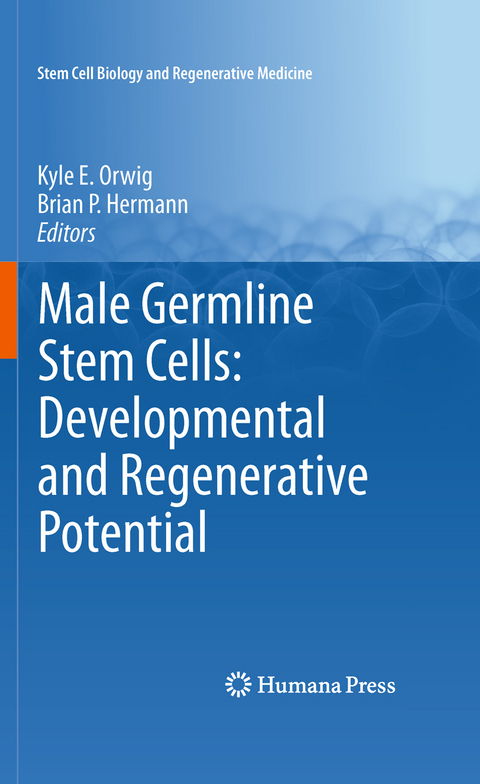 Male Germline Stem Cells: Developmental and Regenerative Potential - 