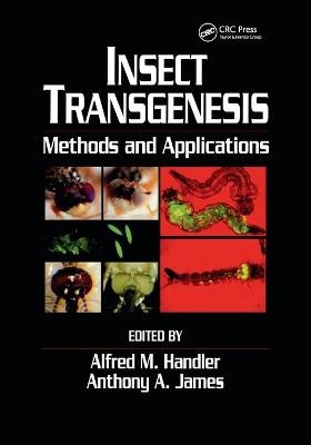 Insect Transgenesis - 