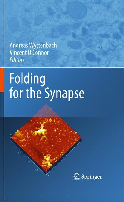 Folding for the Synapse - 