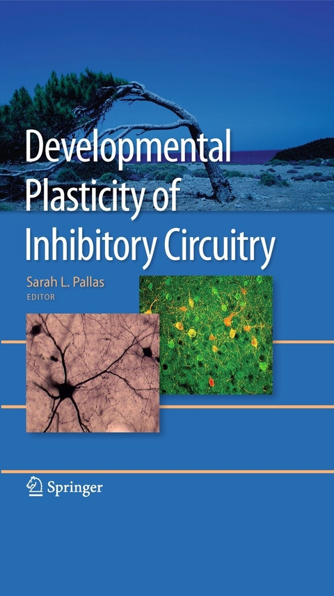Developmental Plasticity of Inhibitory Circuitry - 