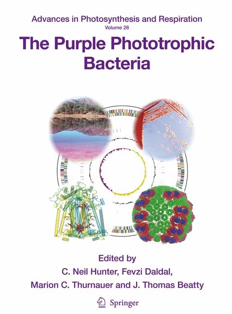 Purple Phototrophic Bacteria - 