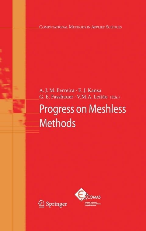 Progress on Meshless Methods - 