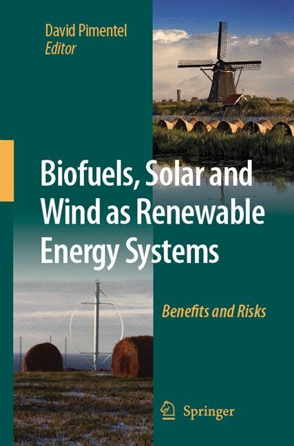 Biofuels, Solar and Wind as Renewable Energy Systems - 