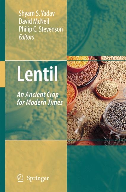 Lentil - 