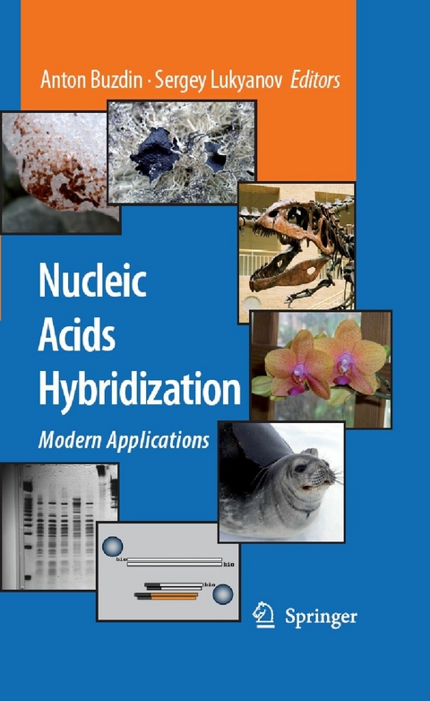 Nucleic Acids Hybridization - 