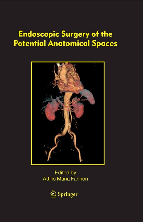 Endoscopic Surgery of the Potential Anatomical Spaces - 