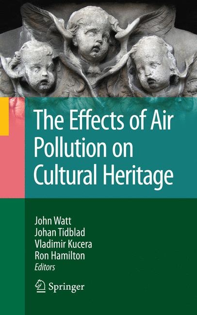 Effects of Air Pollution on Cultural Heritage - 