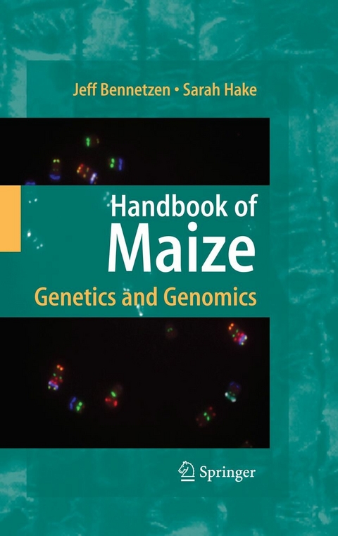 Handbook of Maize - 