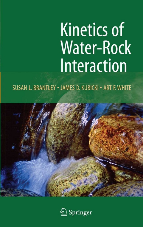 Kinetics of Water-Rock Interaction - 