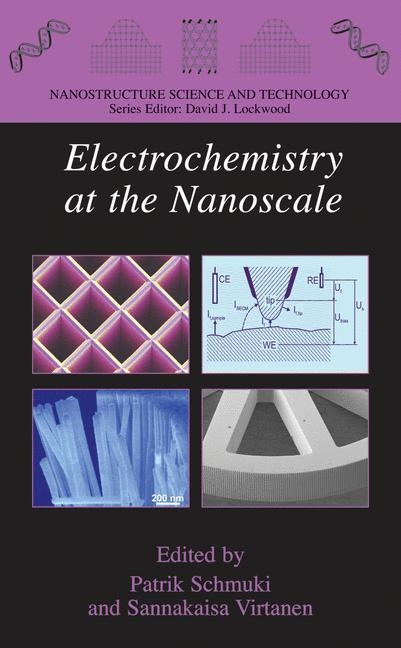 Electrochemistry at the Nanoscale - 