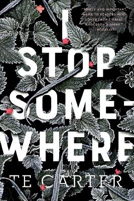 I Stop Somewhere - Te Carter