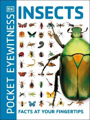Pocket Eyewitness Insects -  Dk