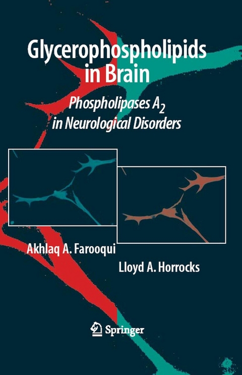 Glycerophospholipids in the Brain -  Akhlaq A. Farooqui,  Lloyd A. Horrocks