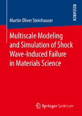 Multiscale Modeling and Simulation of Shock Wave-Induced Failure in Materials Science - Martin Oliver Steinhauser