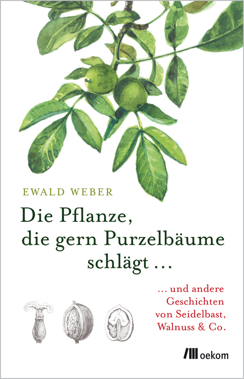 Die Pflanze, die gern Purzelbäume schlägt … - Ewald Weber