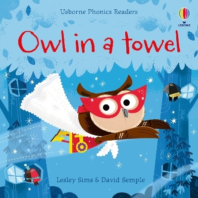 Owl in a Towel - Lesley Sims