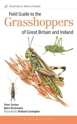 Field Guide to the Grasshoppers of Great Britain and Ireland - Peter Sutton, Dr Björn Beckmann