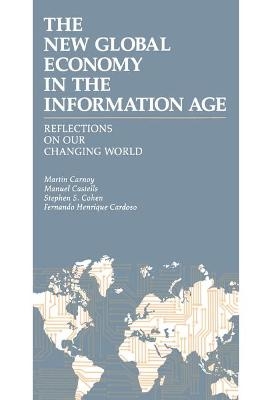 The World Economy in the Information Age - Martin Carnoy,  etc., Manuel Castells, Stephen S. Cohen, Fernando Henrique Cardoso