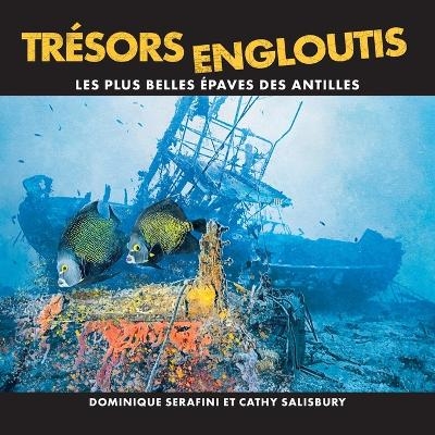 Trésors Engloutis - Dominique Serafini, Cathy Salisbury