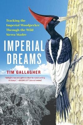 Imperial Dreams - Tim Gallagher