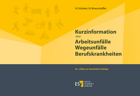 Kurzinformation über Arbeitsunfälle Wegeunfälle Berufskrankheiten - Heike Braunsteffer