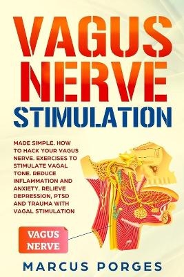 Vagus Nerve Stimulation - Marcus Porges