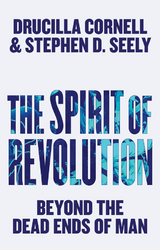 The Spirit of Revolution - Drucilla Cornell, Stephen D. Seely