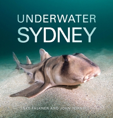 Underwater Sydney - Inke Falkner, John Turnbull