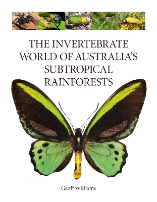 The Invertebrate World of Australia's Subtropical Rainforests - Geoff Williams