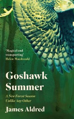 Goshawk Summer - James Aldred