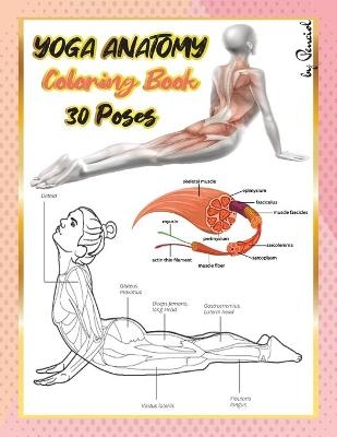 Yoga anatomy coloring book - Penciol Press