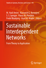 Sustainable Interdependent Networks - 