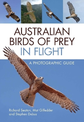 Australian Birds of Prey in Flight - Richard Seaton, Mat Gilfedder, Stephen Debus