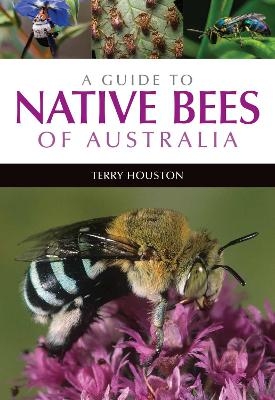 A Guide to Native Bees of Australia - Dr Terry Houston