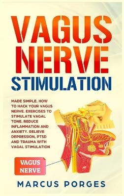 Vagus Nerve Stimulation - Marcus Porges