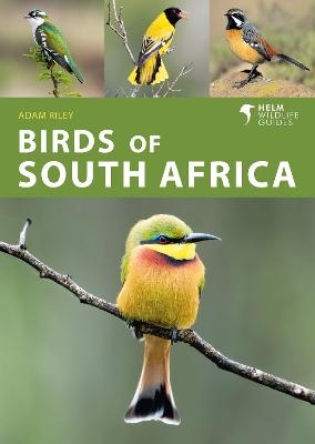 Birds of South Africa - Adam Riley